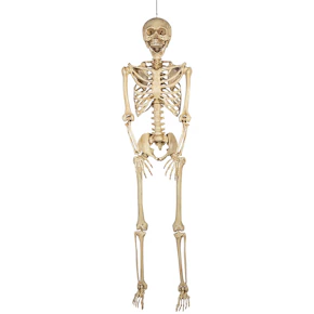 Haunted Living Skeleton