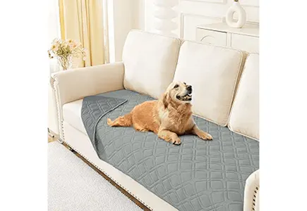 Waterproof Couch Cover