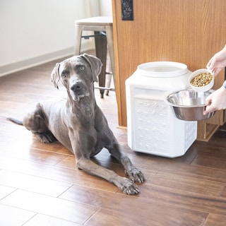 amazon gamma2 vittles vault 2 1638892134 1638892134