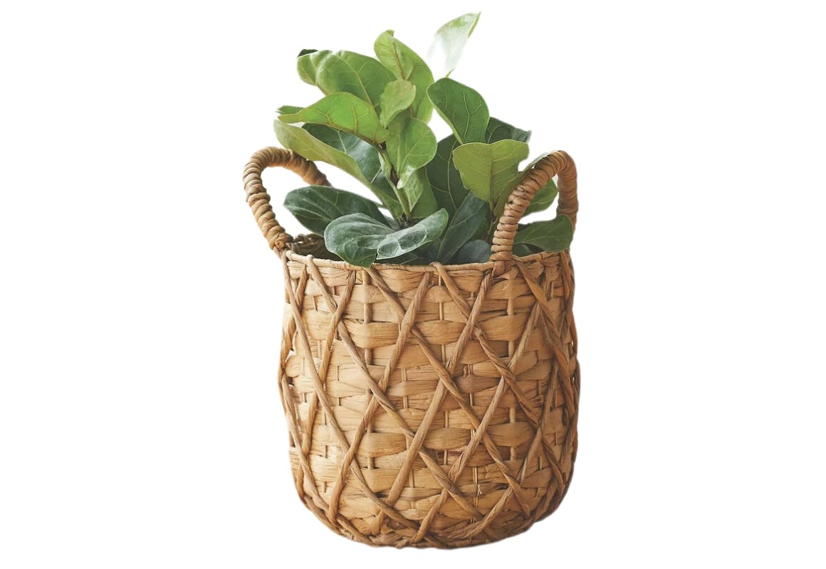 Better Homes & Gardens Basket Planter
