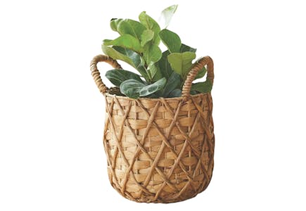 Better Homes & Gardens Basket Planter