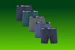 Champion boxer briefs