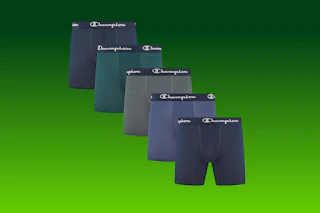 Champion boxer briefs