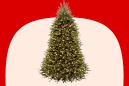 National Tree Company 6 ft Pre-Lit Dunhill Fir Artificial Christmas Tree