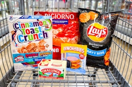 groceries in a shopping cart