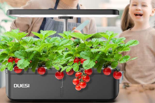 Indoor Plant Growing System, Only $27.95 on Amazon card image