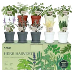 Indoor Herb Garden Kit
