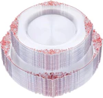 Plastic Plates Set