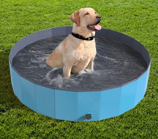 amazon portable pool dogsjpg 1683031626 1683031626
