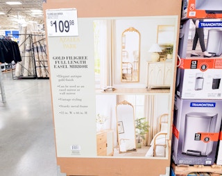 sams-club-azalea-park-mirror-1