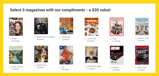 Blue Dolphin Magazine Image