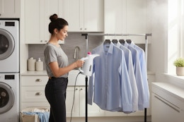 walmart clothes steamer