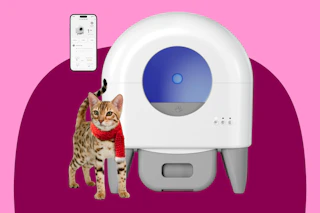 amazon litter box B0DNYXKWRV