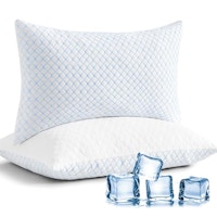 Cooling Pillow Set