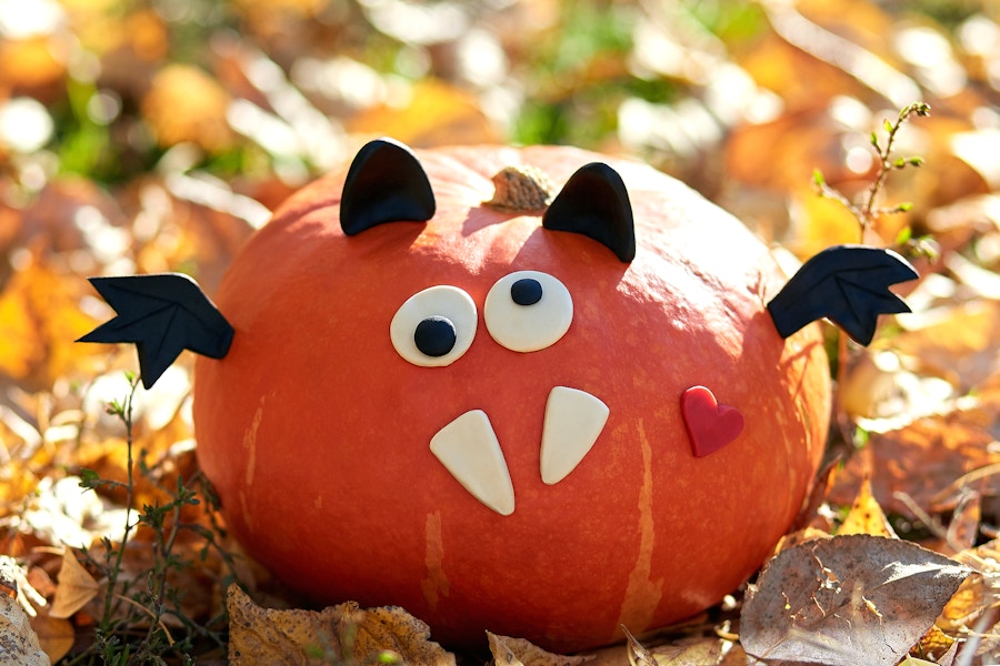 pumpkin decorated as bat sitting in leaves