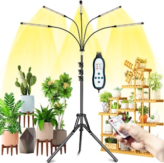 grow-light-for-indoor-plants-amazon--