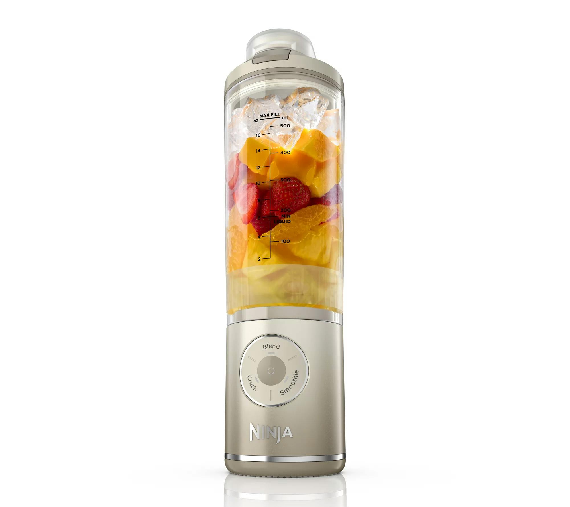 Ninja Portable Blender