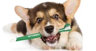 amazon vets best enzymatic dog toothpaste 2022 1653408243 1653408243