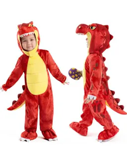 Kids' Dinosaur Costume