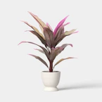 Threshold Artificial Potted Tii Plant