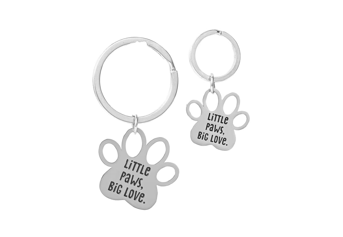 Hallmark Pet Tag Keychain Set