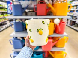 hand holding mainstays lemon planter in walmart aisle