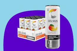 celsius mango lemonade 12 pack