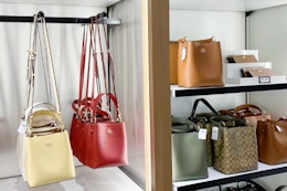 Coach bags on display at a Coach Outlet store.
