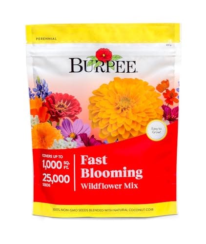 Wildflower Seed Mix
