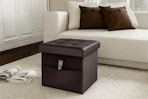 The Home Depot Lavish Home storage ottoman