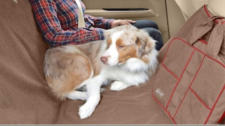 amazon kurgo dog car seat cover 1620143118 1620143118