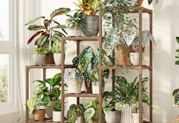Flash Deal: $20 Plant Stand on Walmart.com (Reg. $33) card image