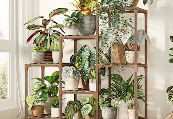 tiered plant stand