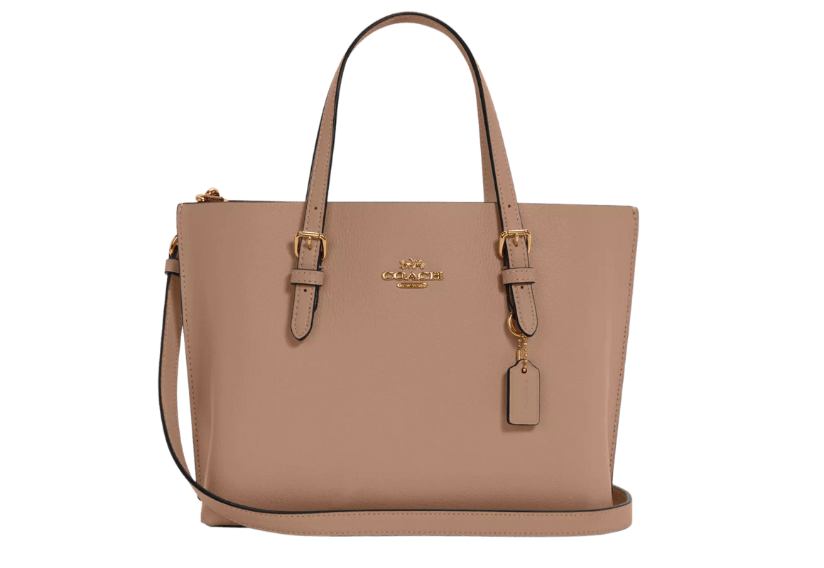 Coach Leather Tote Bag