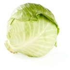 Green Cabbage