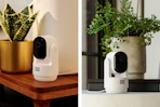 hsn-arlo-camera-1