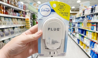 febrze holding publix june 23 2021 1624481537 1624481537