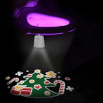 Toilet Night Light