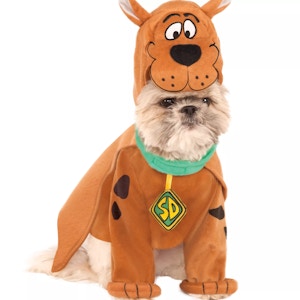 Scooby Doo Dog Halloween Costume