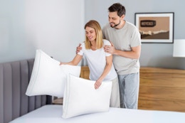 Queen Goose Down Pillows 2-Pack, Now $39 at Walmart — 65% Off card image