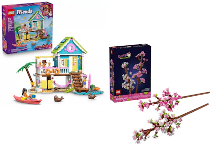 2 LEGO Sets