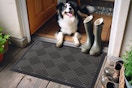 A dog sits in a doorway with his paws on a heavy duty black door mat with grooves