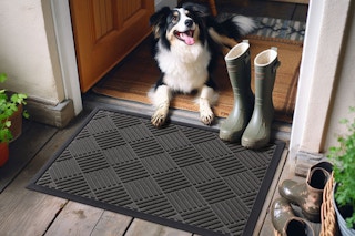 A dog sits in a doorway with his paws on a heavy duty black door mat with grooves