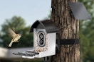 smart bird feeder