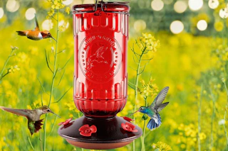 amazon Hummingbird Feeder