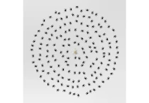 Hyde and EEK! Boutique Spiders