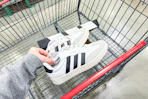 costco-adidas-barreda-sneakers