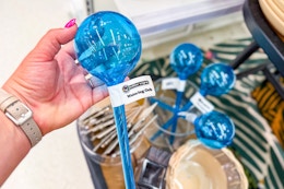 Your Lazy Plant Mom Era Just Got Cheaper — Target’s Watering Orbs Are $0.56 card image