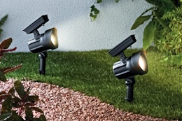 Get 2 Solar Landscape Lights for $7 at Walmart — Cheaper Than a Single Light card image