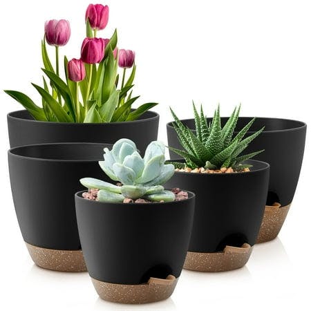 Self-Watering Plant Pots